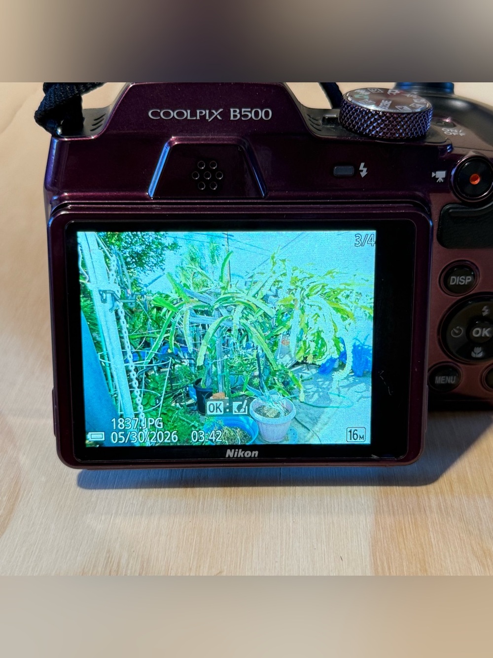 Nikon COOLPIX B500 Digital Camera Plum 16MP 40X Opt Zoom Tested Good w/Bat-Card! - Picture 9 of 15